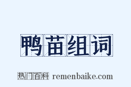 鸭苗组词是什么意思的图片